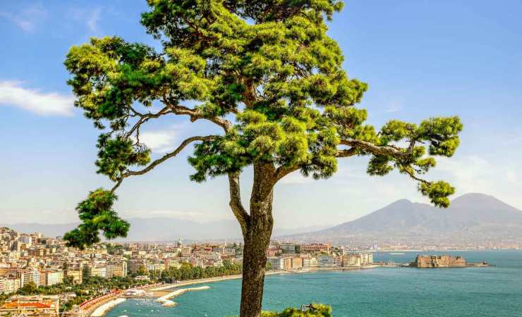 Situazione ambientale critica a Napoli