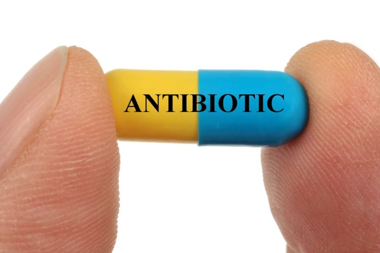 Antibiotico pillola