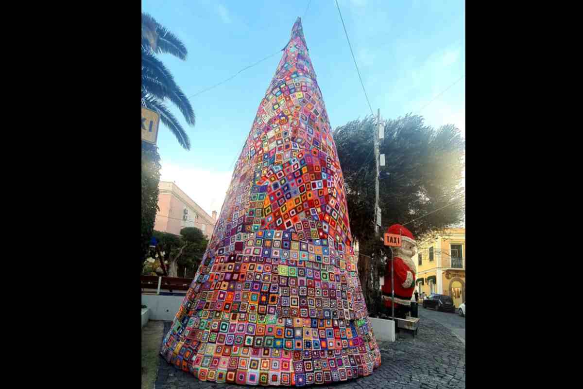 Arriva ad Ischia il primo albero di Natale senza luci