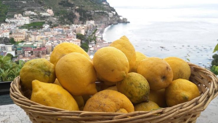 sentiero dei limoni cosa vedere