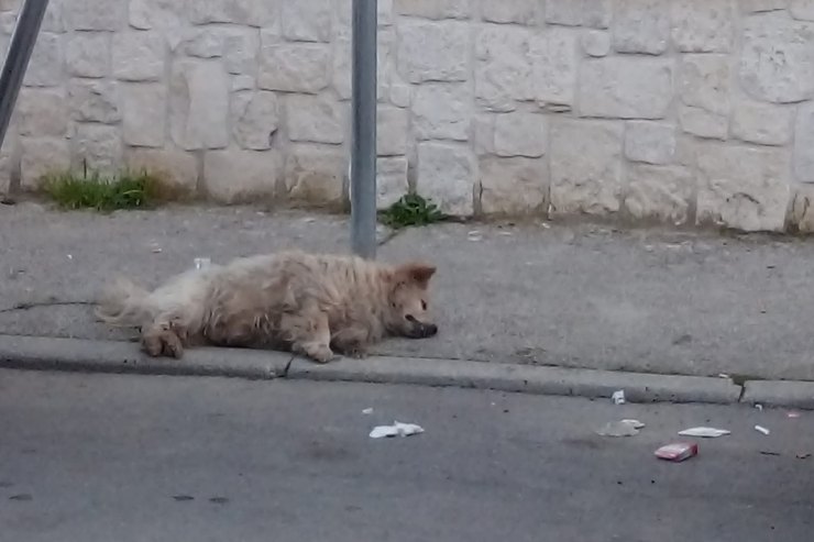 E' accaduto a Gricignano D'Aversa