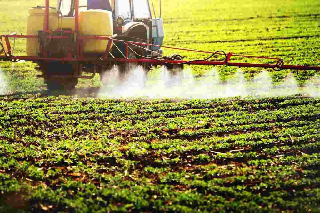 pesticidi nel grano finiscono nella pasta