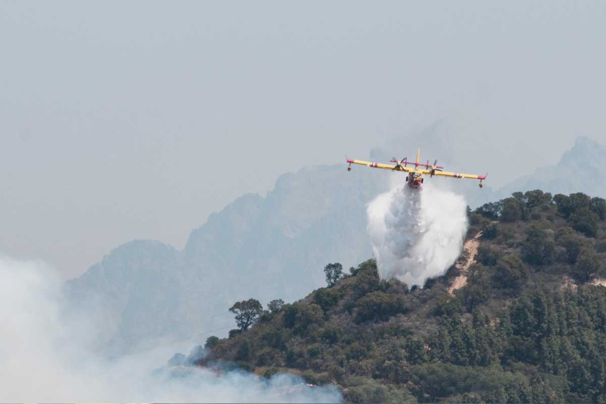 Canadair in azione