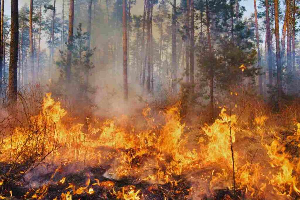 Napoli divampa un incendio