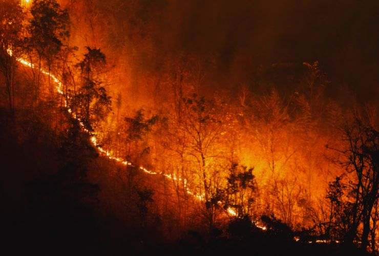 incendio napoli