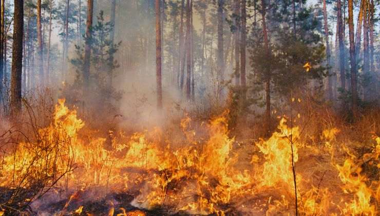 incendio a napoli