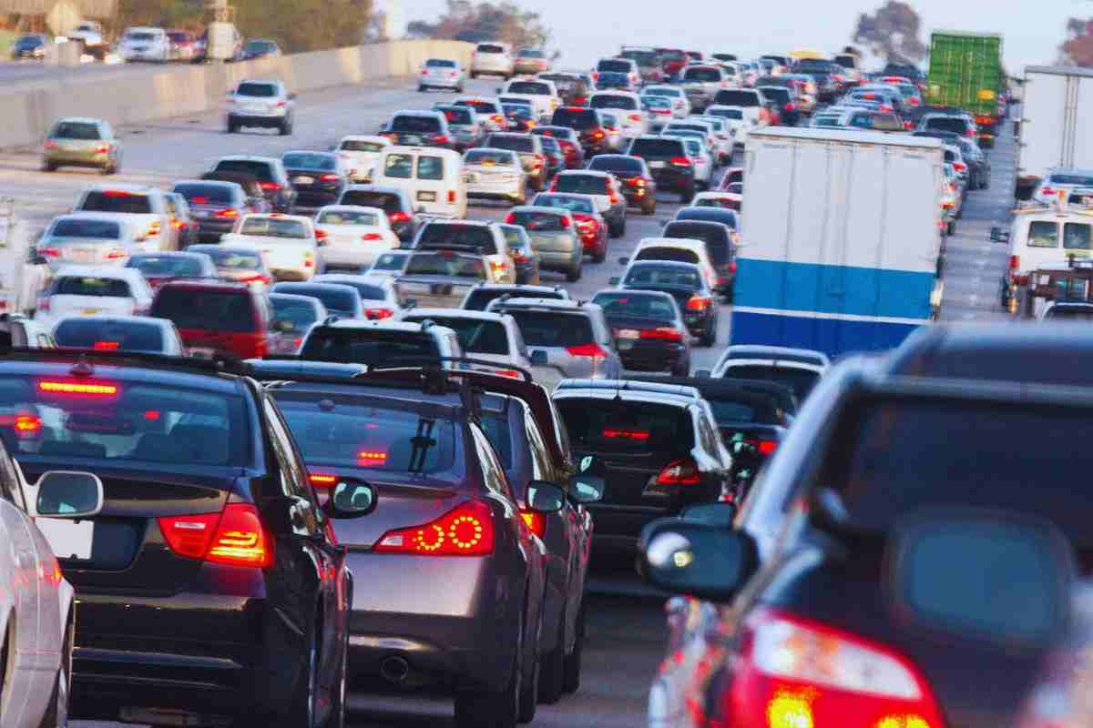 autostrada invasa da un albero