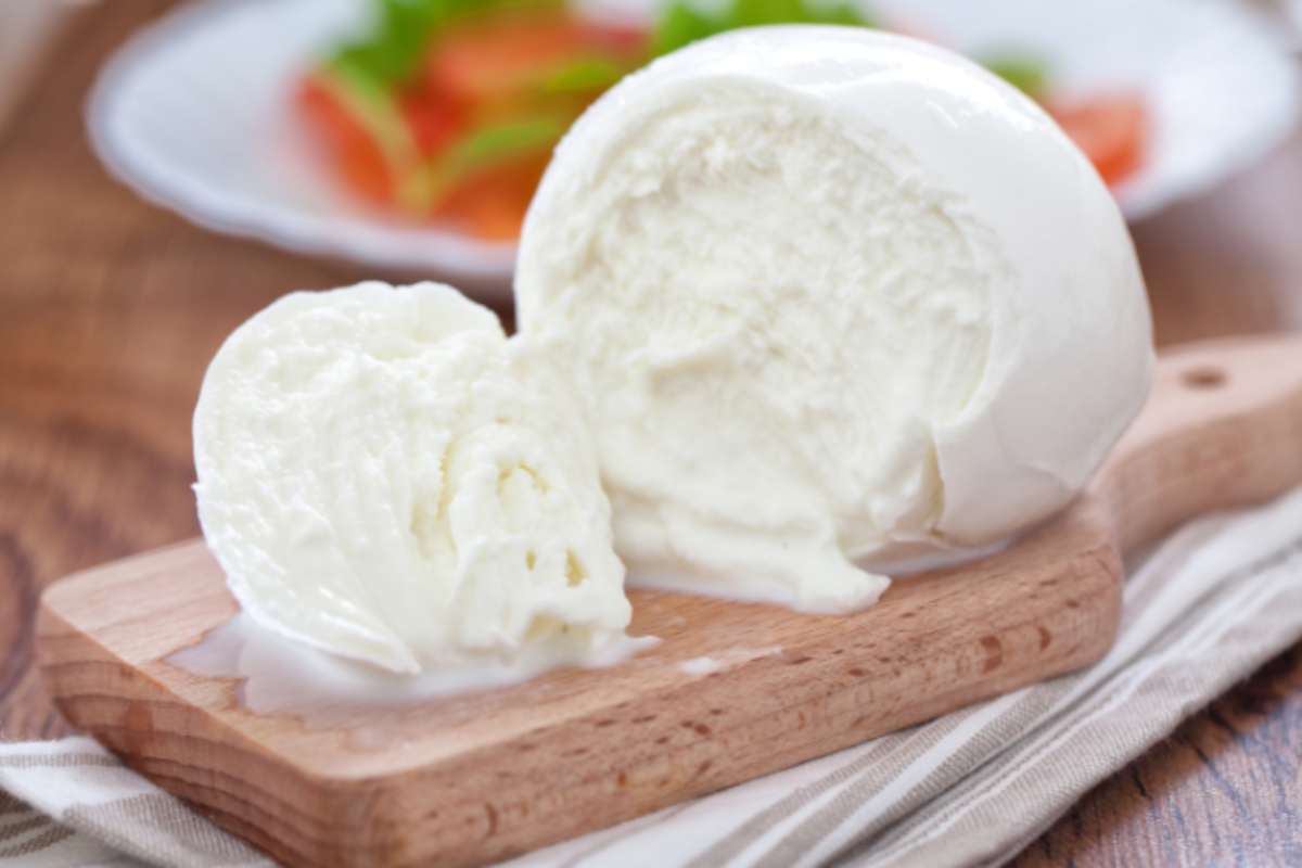 mozzarella fatta in casa