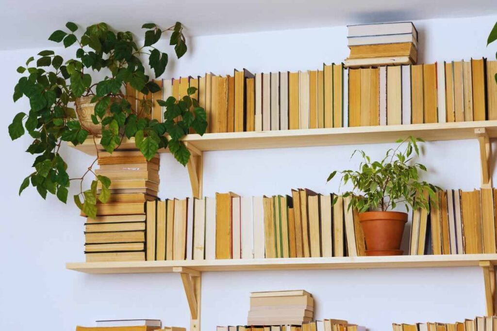 dei libri su degli scaffali
