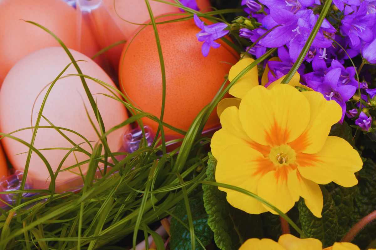 uova e fiori