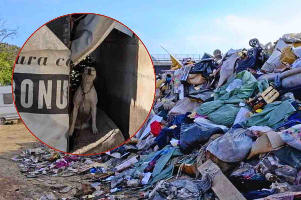 cumuli di rifiuti nel campo Rom di Napoli