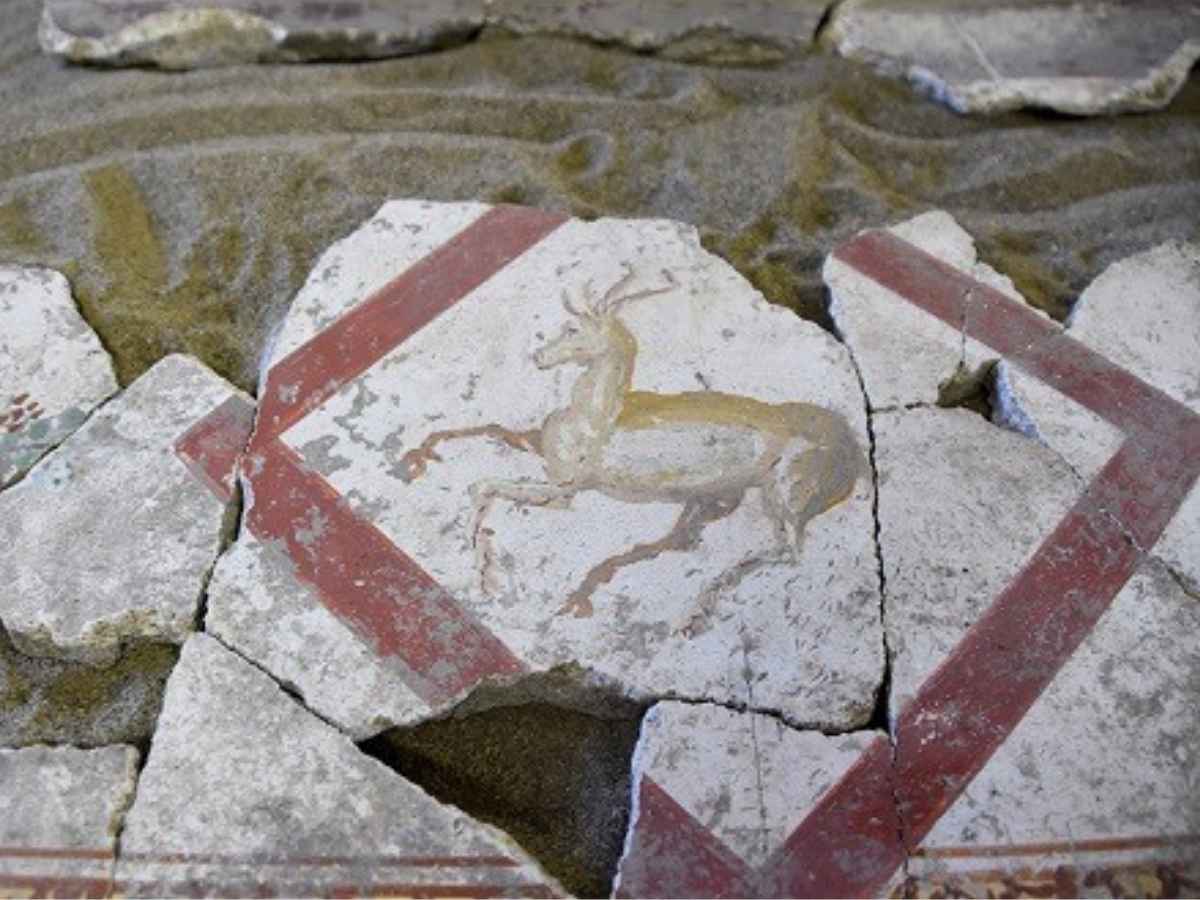 Il progetto RepAir di Pompei