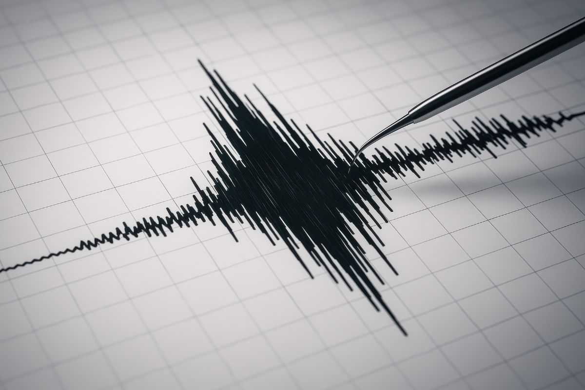 Scossa di terremoto registrata dai sismografi