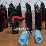I Cobra sequestrati dai carabinieri