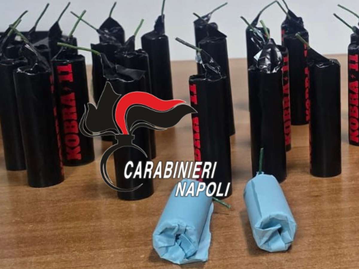 I Cobra sequestrati dai carabinieri
