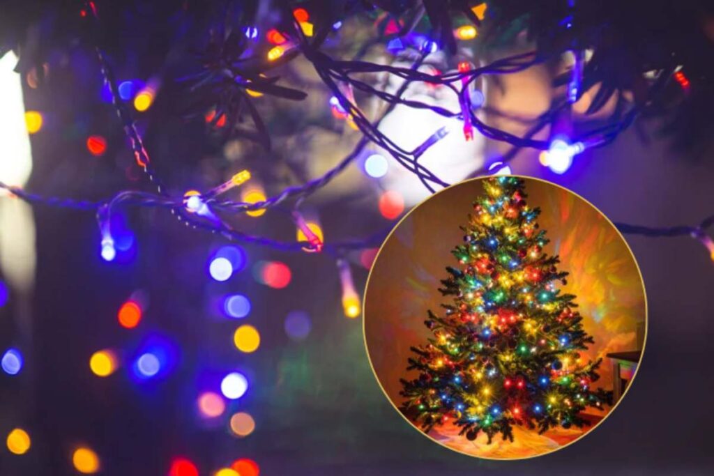 filo di luci natalizie e albero