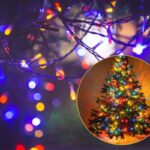 filo di luci natalizie e albero