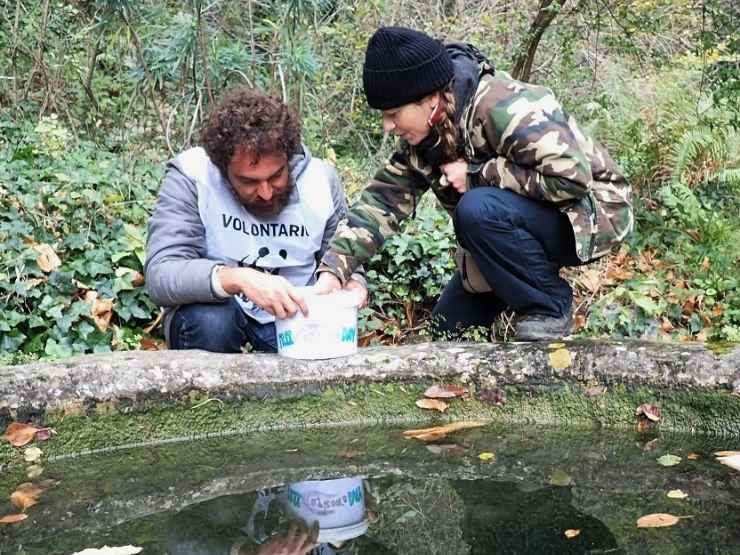 Capitoni da liberare dal Wwf