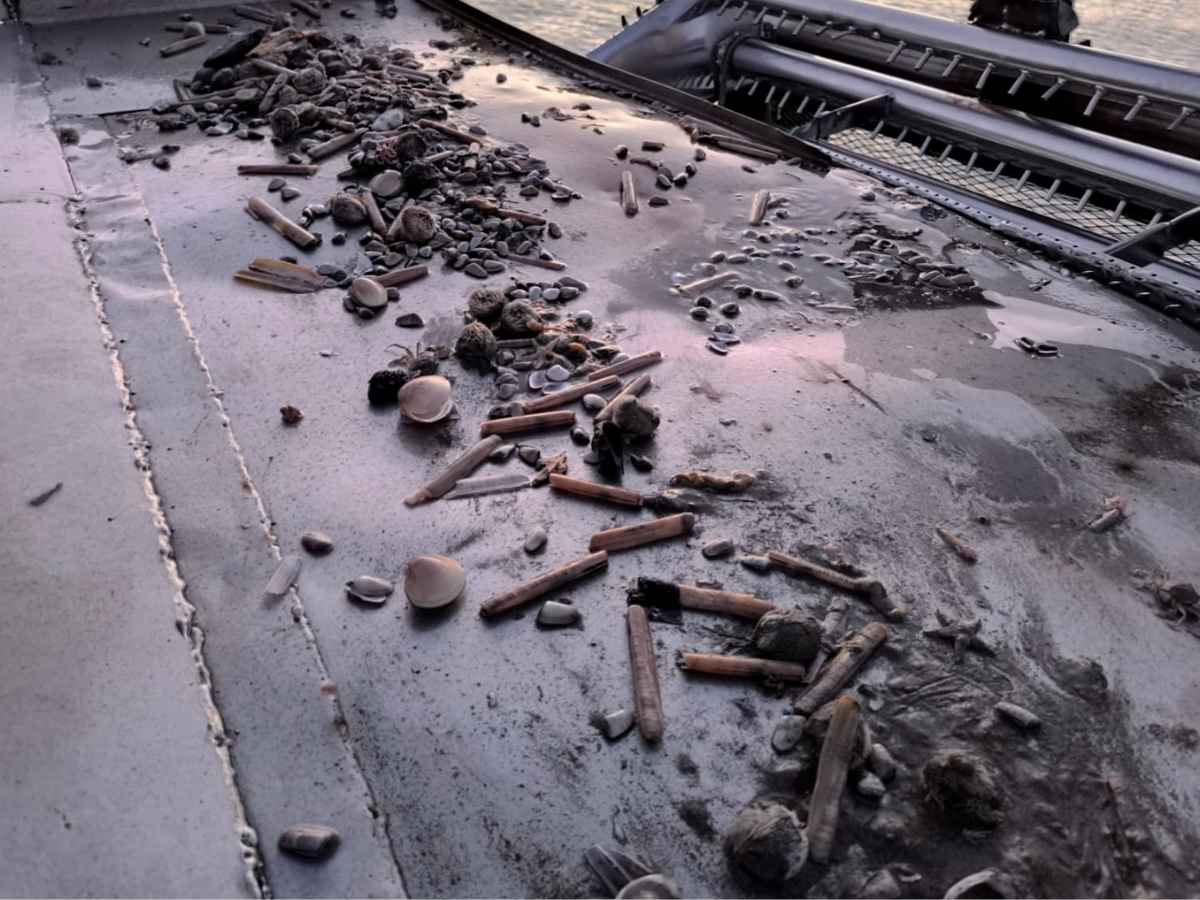 La pesca del cannolicchio