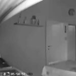 Terremoto oggi Campi Flegrei