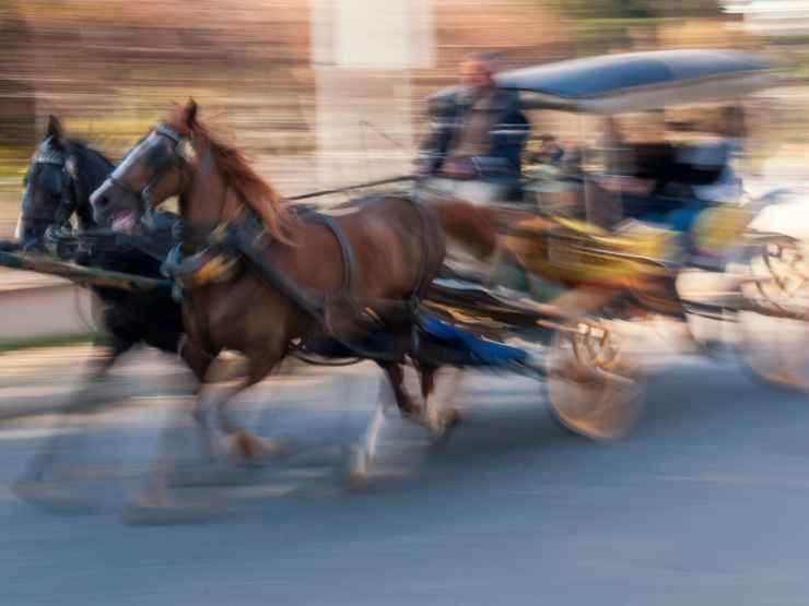 Carrozza con cavalli