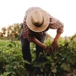 Allarme caporalato in Campania