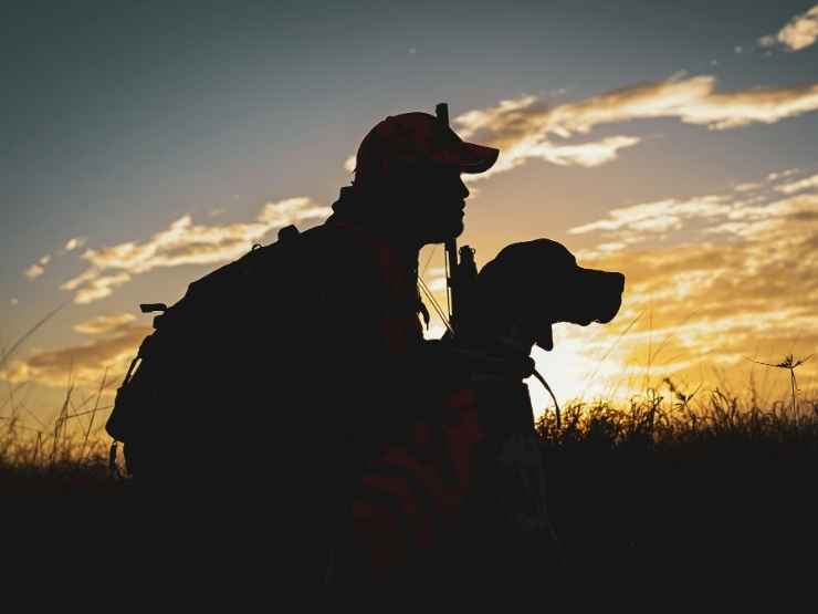 Clima estremo animali senza risorse in Campania