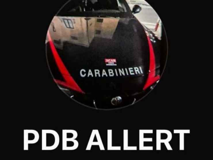 Vico Equense, arresto del pusher svela la rete PDB Allert